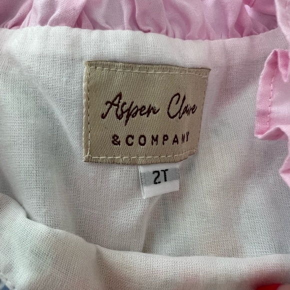 Aspen Claire & Company Floral Spring Dress with Ruffles size 2T - Picture 4 of 4